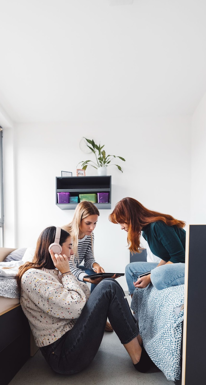 Dormify case study