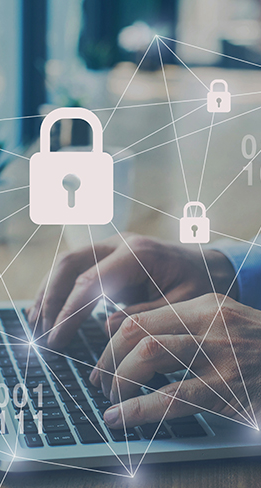 Ezgreen Compliance case study