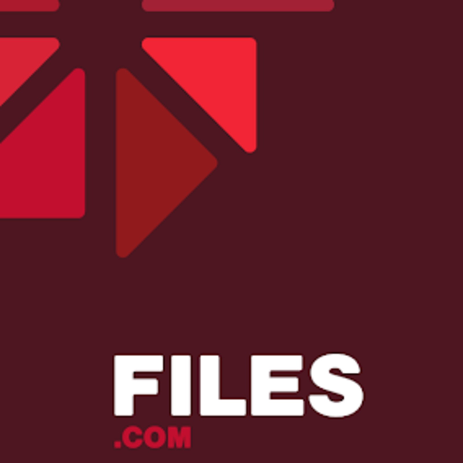 Delivering a Comprehensive Brand Identity for Files.com