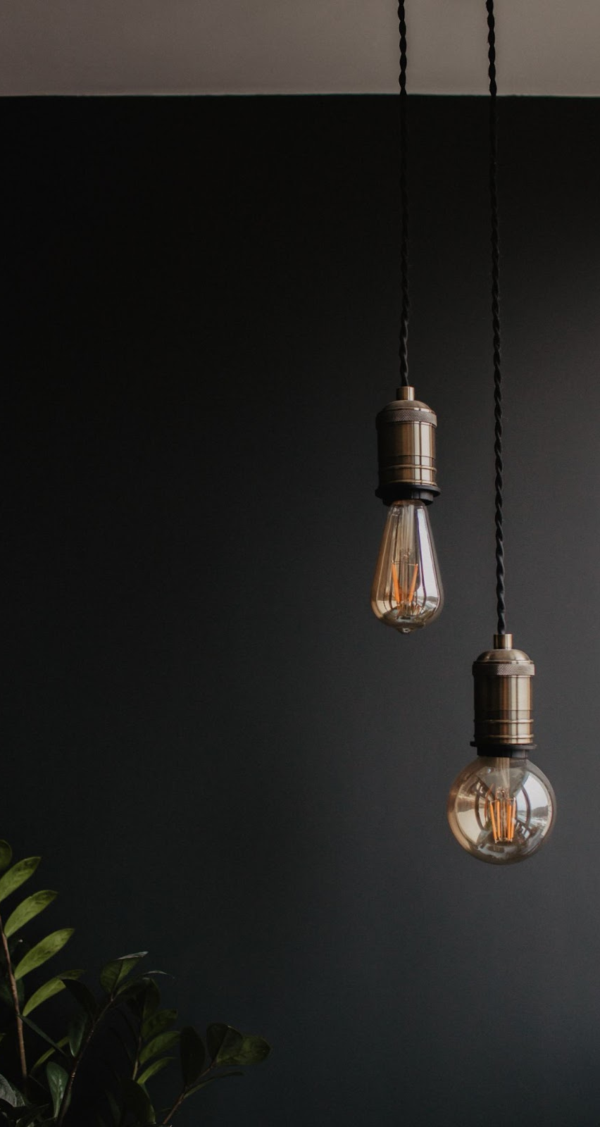 Lamps Plus case study