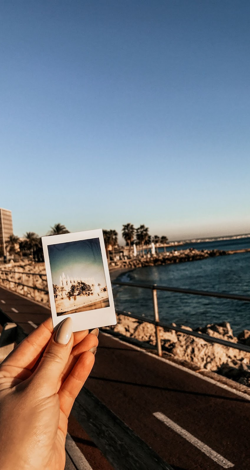 Polaroid - EUR case study