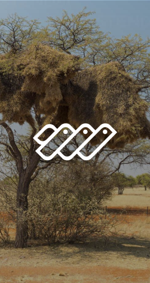 Reinventing Brand Identity