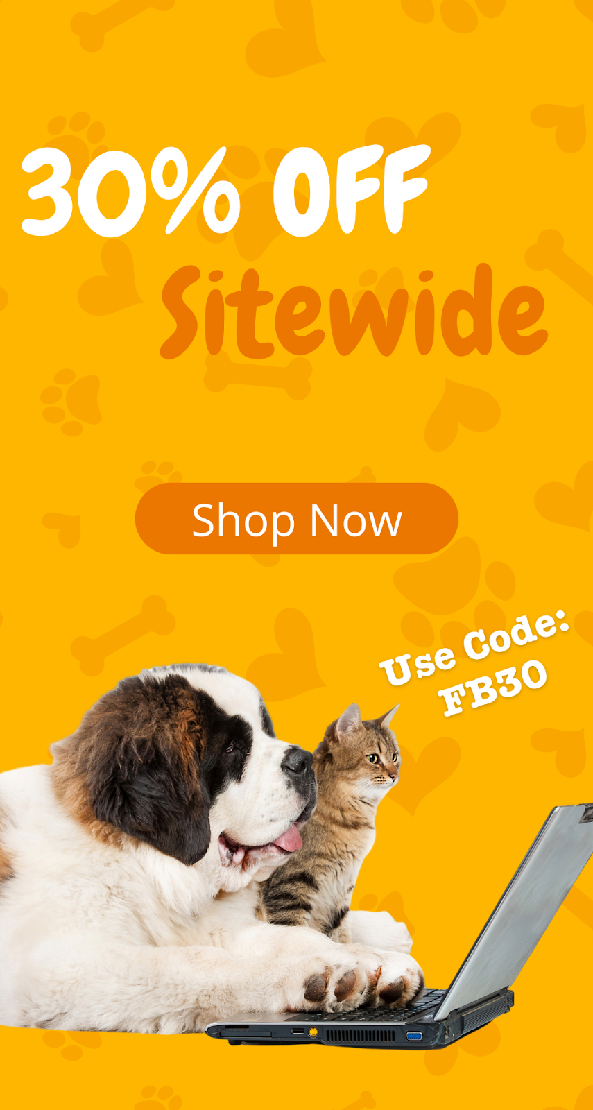 Zesty Paws case study