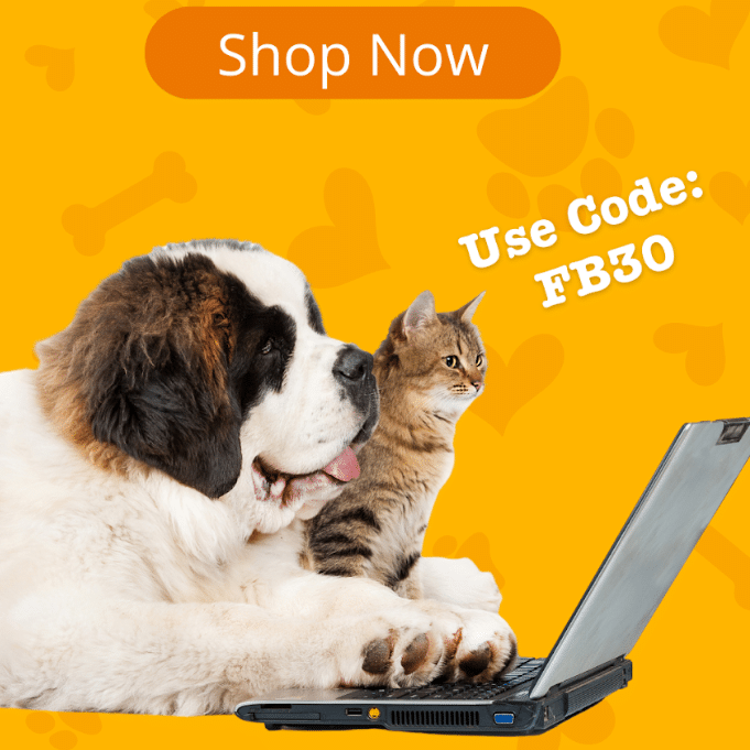 Zesty Paws multi-channel optimization