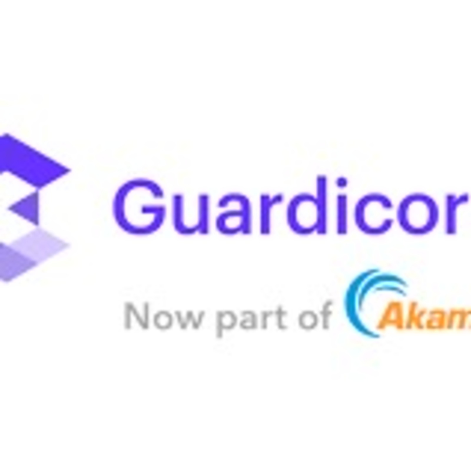 Executive search for Gaudicore (acquired by Akamai)