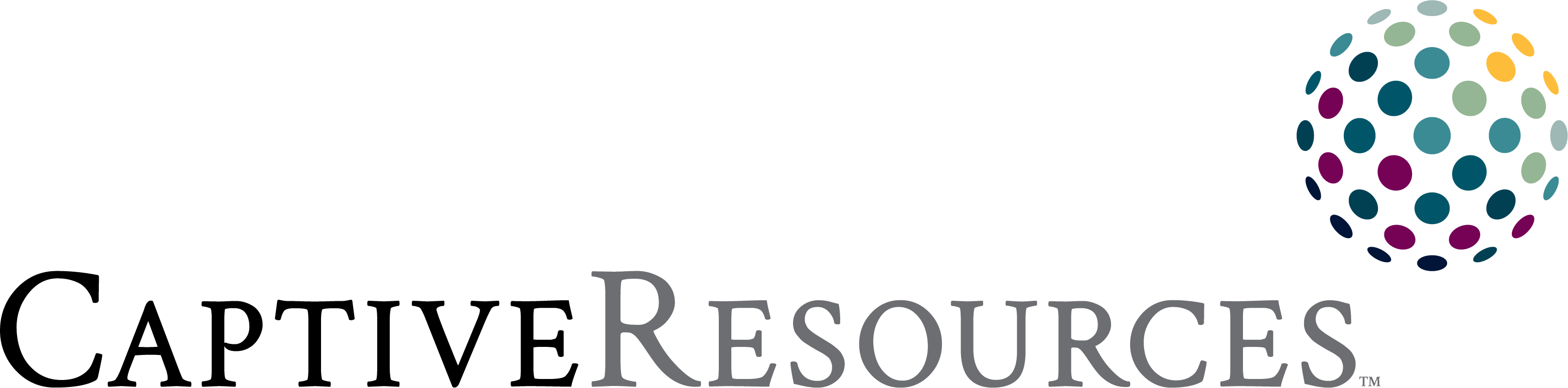 Sales enablement redesign for Captive Resources