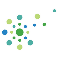 Executive Networks