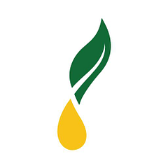 Young Living Essential Oils